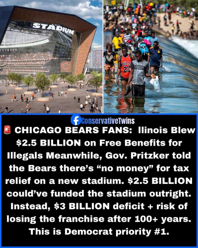 Bears Stadium vs Illegals